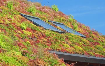 Stone In Oxney living roof systems
