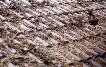 Stone In Oxney roof cleaning companies